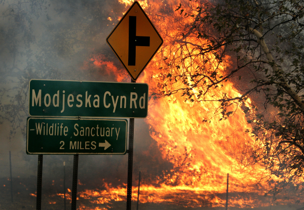wildfire