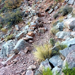 Rocky Trail